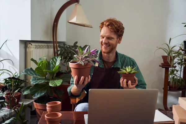 Blommor visar kaktusar för kunden — Stockfoto