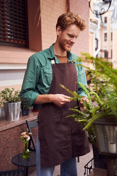 Barista dışarıdaki bitkilerle ilgileniyor.