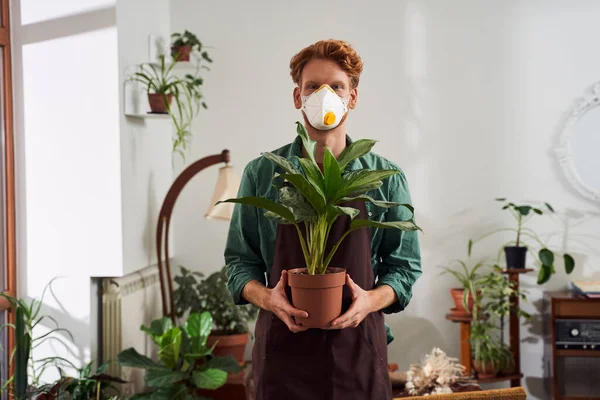 Florista em máscara segurando planta em vaso — Fotografia de Stock