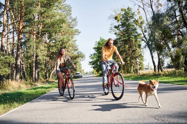 Par med hund och cyklar — Stockfoto