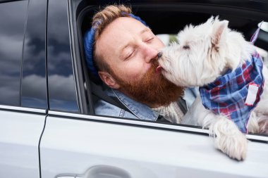 Tüylü, enerjik bir köpeği kucaklayan bir adam.