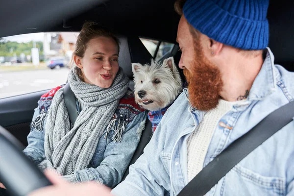 Casal dirigindo pelo carro com seu cão — Fotografia de Stock