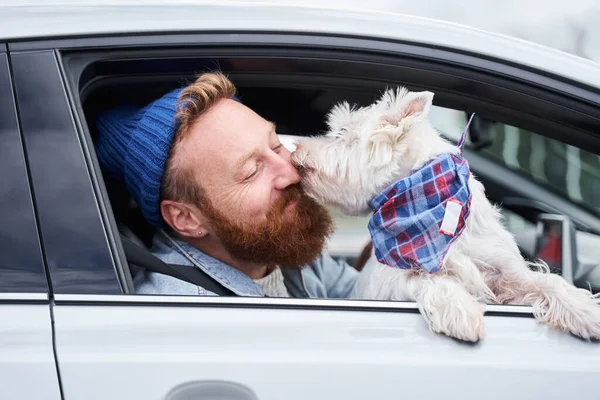 Adam haftasonunu beyaz teriyer köpeğiyle geçiriyor.