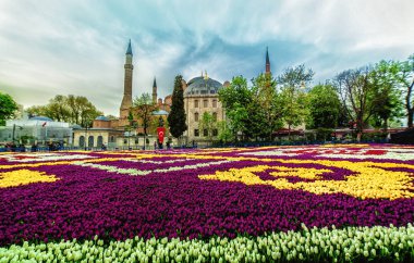 İstanbul 'daki dünyanın en büyük lale halısı