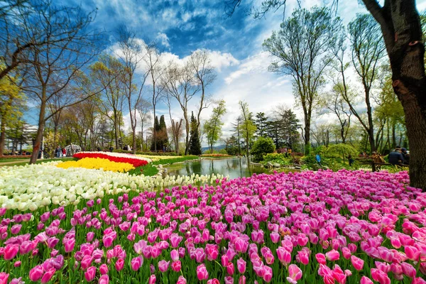 Traditionell Tulip Festival i Emirgan Park, en historisk stadspark belägen i Sariyer distriktet i Istanbul, Turkiet — Stockfoto