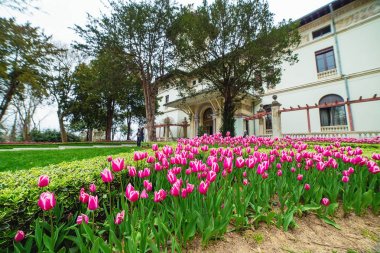 Boğaz'ın Asya yakasında yer alan 