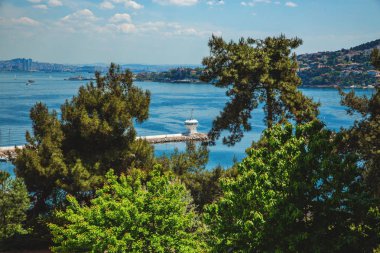 Arka planda Marmara Denizi ve İstanbul'daki Heybeliada adasının ormanından manzara