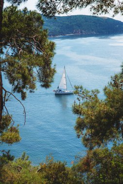 Arka planda Marmara Denizi ve İstanbul'daki Heybeliada adasının ormanından manzara