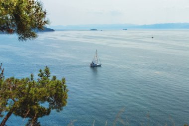 Arka planda Marmara Denizi ve İstanbul'daki Heybeliada adasının ormanından manzara