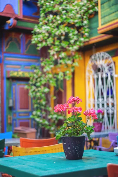Красочный интерьер кафе в саду — стоковое фото