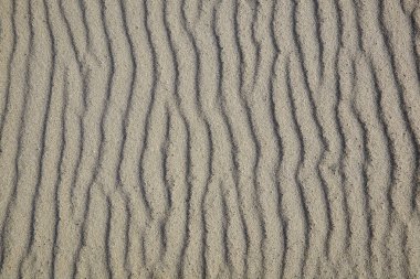 Kuzey Denizi sahilinde Ebb ve Nehir