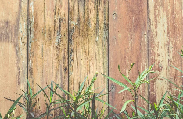 Flowers Wood Texture Background Copyspace — Stock Photo, Image