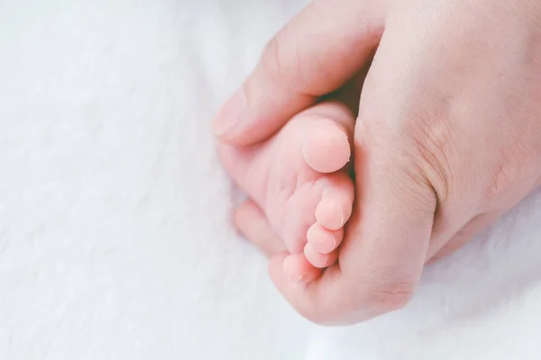 婴儿脚在母亲的手 — 图库照片
