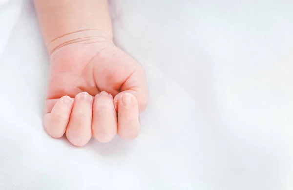 Mano Bebé Recién Nacido — Foto de Stock