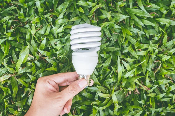 Light bulb in hand with energy saving eco lamp
