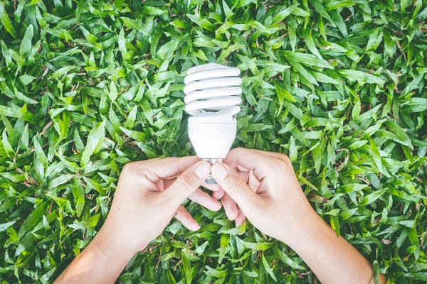 Gloeilamp Hand Met Energiebesparende Eco Lamp — Stockfoto