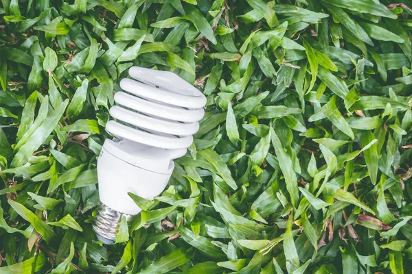 Light bulb with energy saving eco lamp