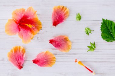 Çiçekler beyaz ahşap zemin üzerinde