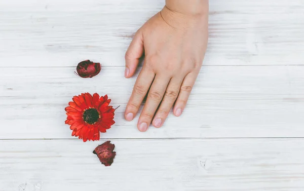 Bela Mão Com Flor Vermelha Mesa Madeira — Fotografia de Stock