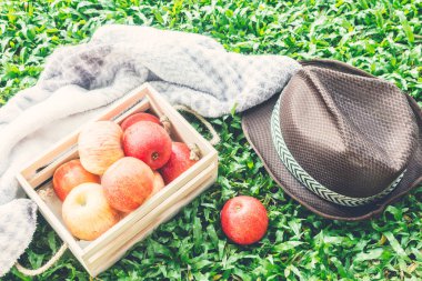 Yeşil çimenlerin üzerinde elma sepeti