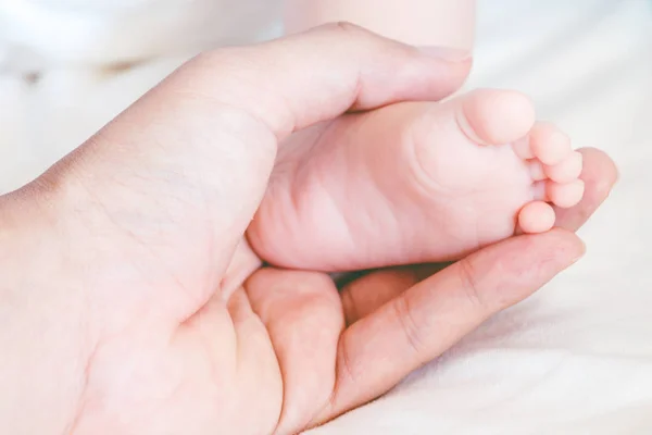 Bebé Recién Nacido Pies Las Manos Madre — Foto de Stock