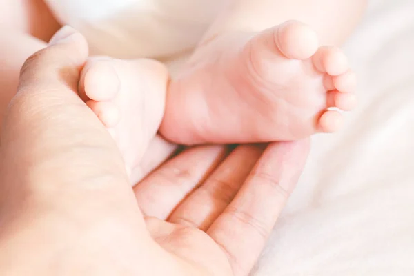 Bebé Recién Nacido Pies Las Manos Madre — Foto de Stock