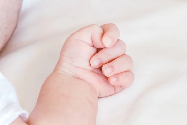 Mano Bebé Recién Nacido — Foto de Stock