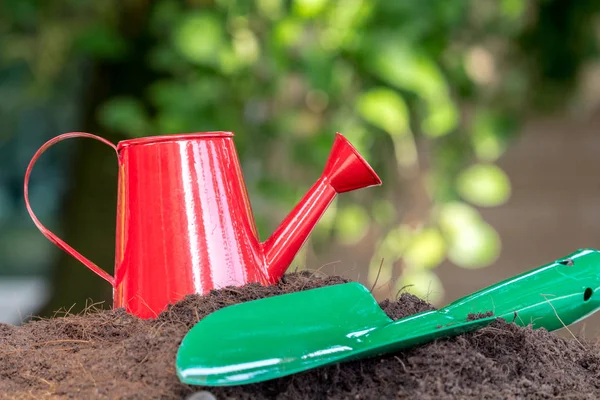 Trädgårdsredskap Natur Botten — Stockfoto