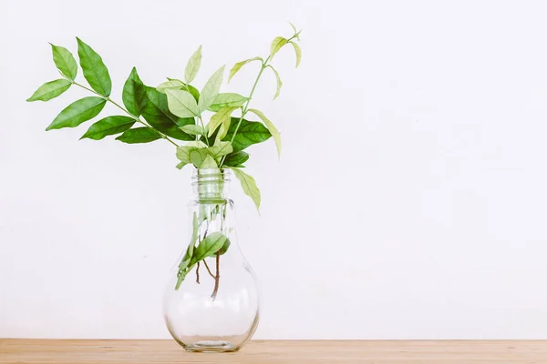 Gröna Blad Tabellen Glas Flaskor Trä — Stockfoto