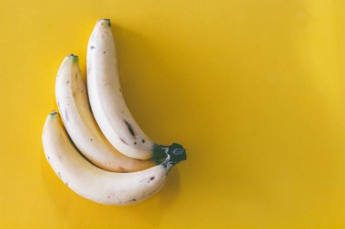 Muz yaprak zemin üzerine