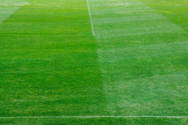 Green soccer field texture