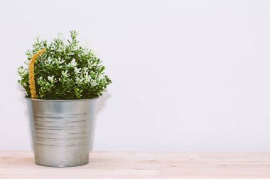 Ahşap masa üzerinde tencerede çiçek