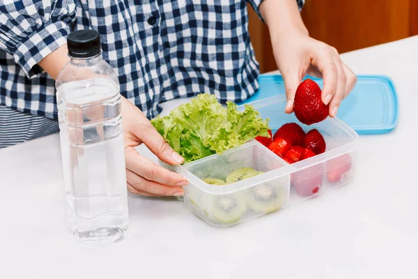 Mother Making Healthy School Lunch Box Her Children — Stock Photo, Image