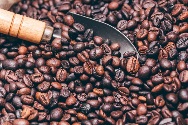 Kahve Çekirdekleri — Stok fotoğraf