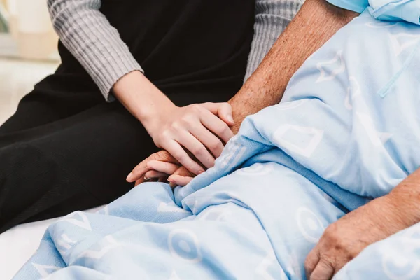 Genç kadın el yaşlı kişi elini tutuyor. Yaşlı Bakımı ve saygı kavramı