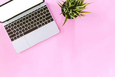 Pembe bir arka plan üzerinde üstten görünüm dizüstü bilgisayarın. Düz yatıyordu