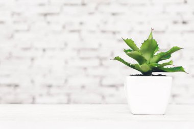 Masada beyaz tuğla duvar arka plan ağaç ev dekorasyonu iç tarzı