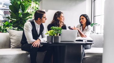 Proje ile fikirleri paylaşmayı tartışan bir grup profesyonel iş adamı. Yeşil santral terasında dizüstü bilgisayarla çalışan yaratıcı iş adamları modern çalışma odalarını dekore ettiler.