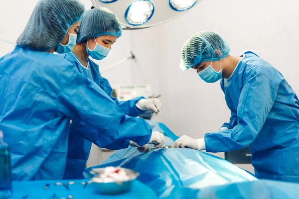 Profesyonel anestezi uzmanı doktor tıp ekibi ve asistanı modern hastane acil servisinde cerrahi ekipmanla jinekolojik ameliyata hazırlanıyor.