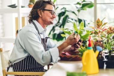 Mutlu bahçıvan yaşlı yaşlı adam, genç bitkilere bakıyor ve bahçeyle bahçeyle ilgileniyor. Evde küçük ağaçlara bakıyor. Emeklilik kavramı.