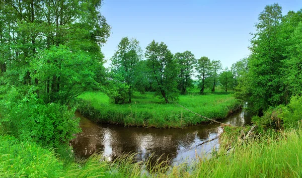 Fiume Estate Bellissimo Paesaggio — Foto Stock