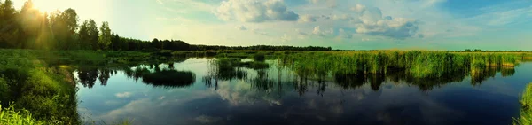 Восход Солнца Болоте Прекрасный Летний Пейзаж — стоковое фото