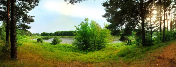 Панорамний Вид Озеро Лісі Влітку — стокове фото