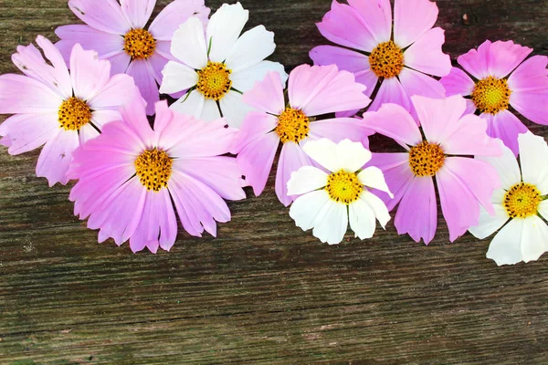 Flores Rosas Blancas Sobre Fondo Madera — Foto de Stock