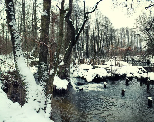 Зима Деревне Маленькая Река Фоне Снега — стоковое фото
