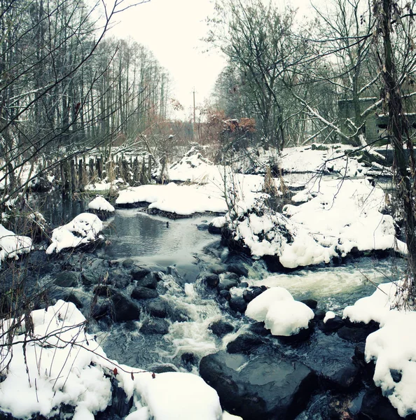 Rivière Forestière Hiver Une Petite Rivière Sur Fond Neige — Photo