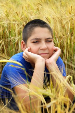 Buğday tarlasında küçük bir çocuk. Yaz tatili