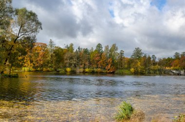 Bulutlu gökyüzü güneş tarafından aydınlatılmış altın ormanla göl kıyısında
