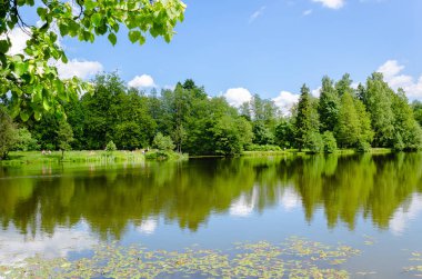 Yeşil çayır ve mavi şehir Gölü kıyısında güneşli bir parlak yaz ağaçlar