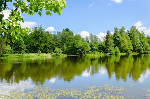 Green Meadow Trees Bright Summer Sunny Day Shore Blue City — Stock Photo, Image